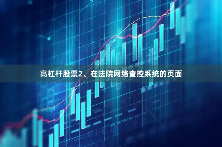 高杠杆股票2、在法院网络查控系统的页面